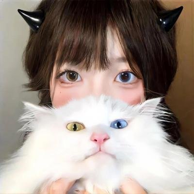 大获拳胜