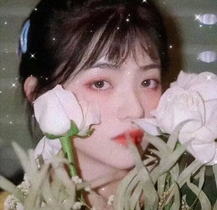 哥特萝莉侦探事件簿